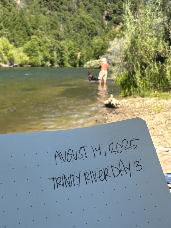 My Everyday Life Week 33 of 2025- Tracy Benjamin of Shutterbean.com