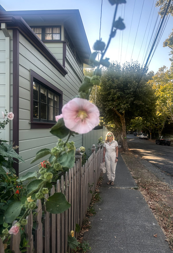 My Everyday Life Week 35 of 2025- Tracy Benjamin of Shutterbean.com