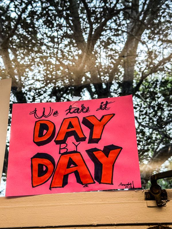 My Everyday Life Week 36 of 2025- Tracy Benjamin of Shutterbean.com