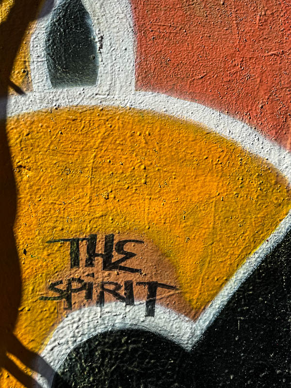 My Everyday Life Week 37 of 2025- Tracy Benjamin of Shutterbean.com