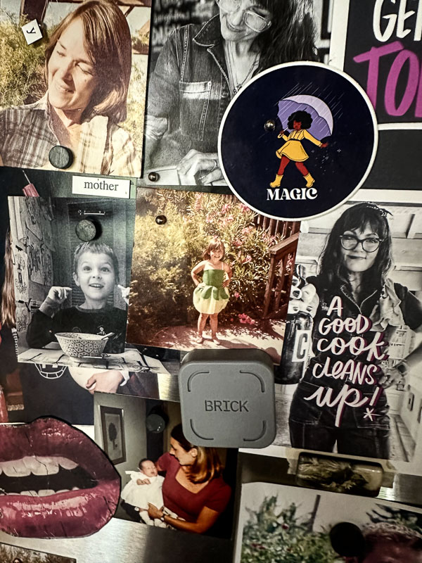 My Everyday Life Week 40 of 2025- Tracy Benjamin of Shutterbean.com