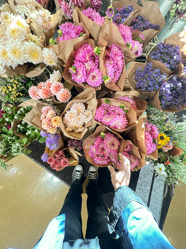 My Everyday Life Week 44 of 2025- Tracy Benjamin of Shutterbean.com