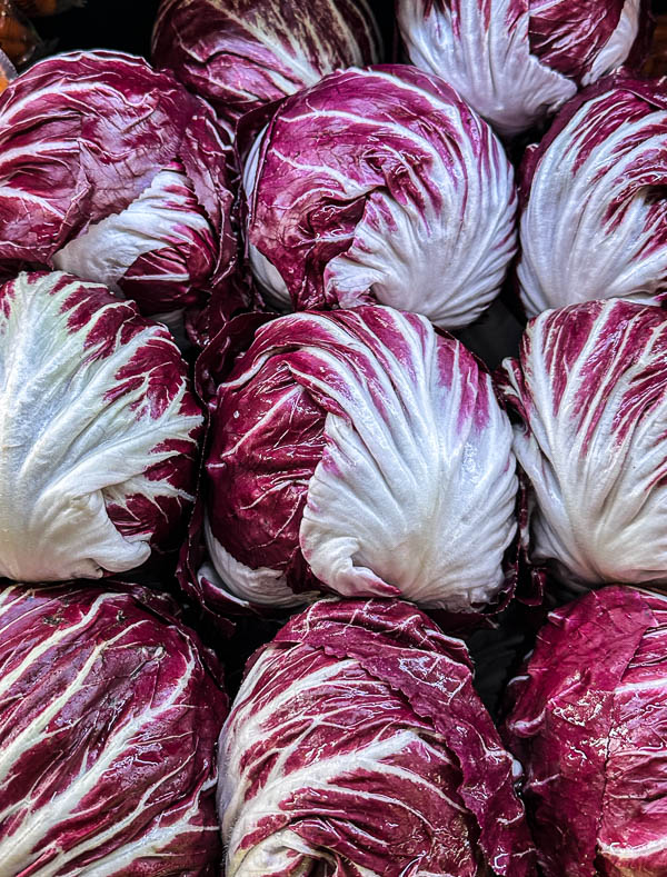 My Everyday Life Week 44 of 2025- Tracy Benjamin of Shutterbean.com