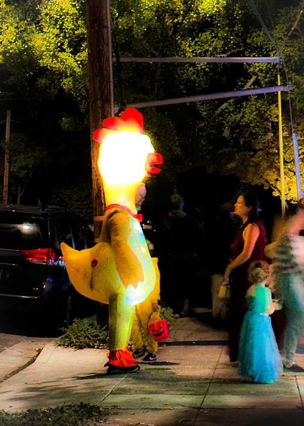 My Everyday Life Week 44 of 2025- Tracy Benjamin of Shutterbean.com