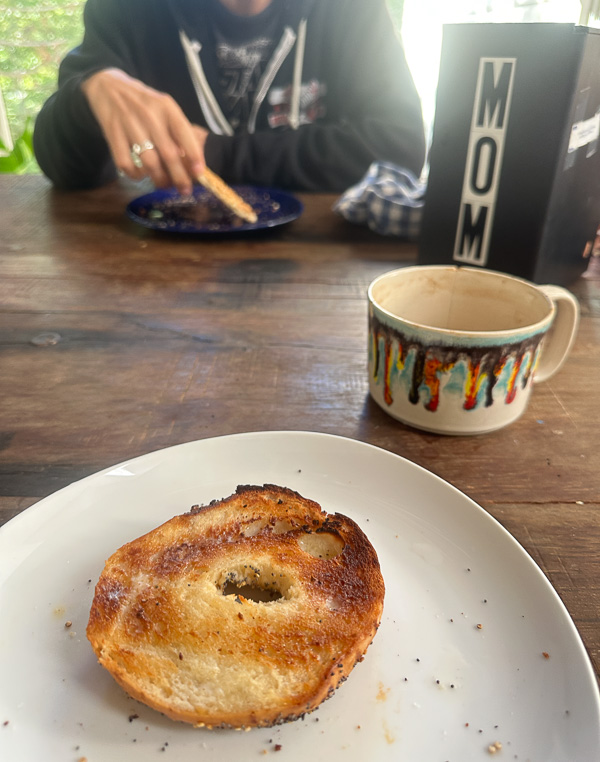 My Everyday Life Week 44 of 2025- Tracy Benjamin of Shutterbean.com