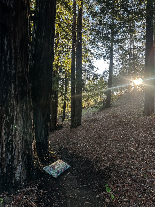 My Everyday Life Week 45 of 2025- Tracy Benjamin of Shutterbean.com