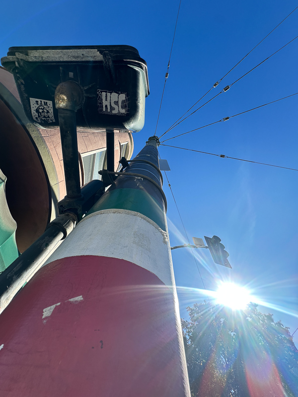 My Everyday Life Week 45 of 2025- Tracy Benjamin of Shutterbean.com