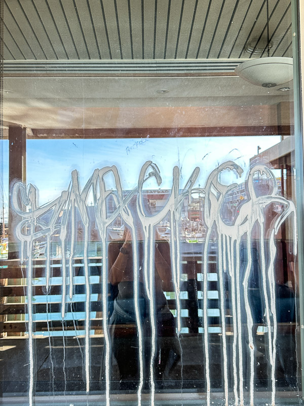 My Everyday Life Week 45 of 2025- Tracy Benjamin of Shutterbean.com