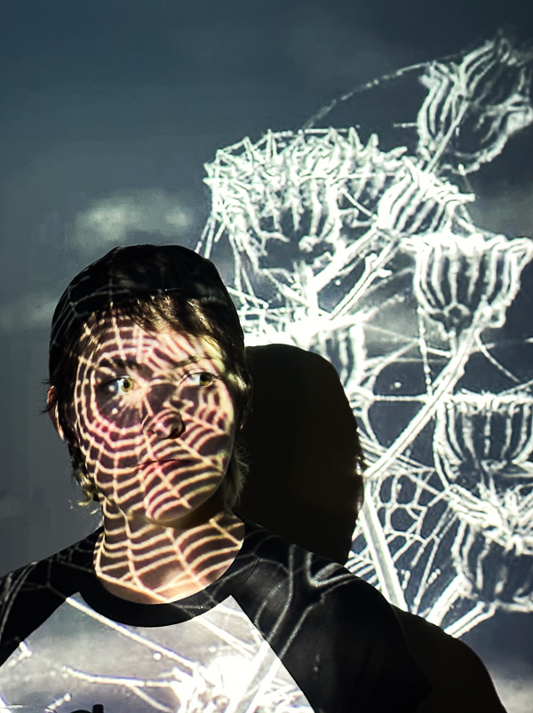 My Everyday Life Week 45 of 2025- Tracy Benjamin of Shutterbean.com