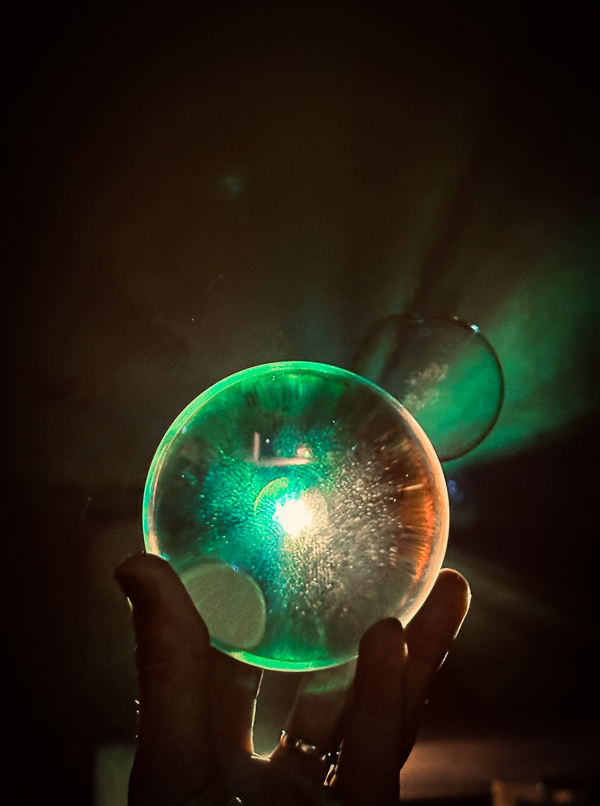 My Everyday Life Week 45 of 2025- Tracy Benjamin of Shutterbean.com