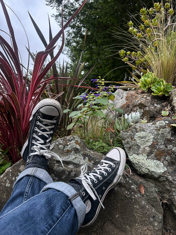 My Everyday Life Week 46 of 2025- Tracy Benjamin of Shutterbean.com