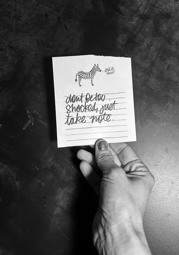 My Everyday Life Week 46 of 2025- Tracy Benjamin of Shutterbean.com