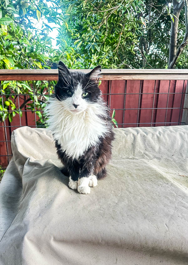 My Everyday Life Week 46 of 2025- Tracy Benjamin of Shutterbean.com