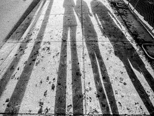 My Everyday Life Week 46 of 2025- Tracy Benjamin of Shutterbean.com