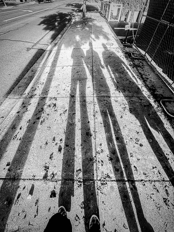 My Everyday Life Week 46 of 2025- Tracy Benjamin of Shutterbean.com