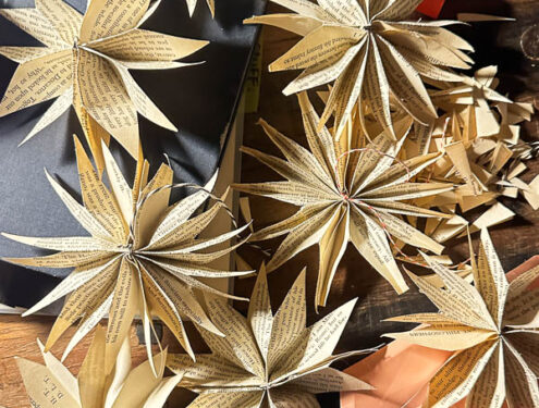 My Everyday Life Week 47 of 2025- Tracy Benjamin of Shutterbean.com