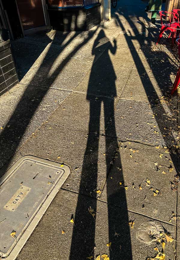 My Everyday Life Week 47 of 2025- Tracy Benjamin of Shutterbean.com