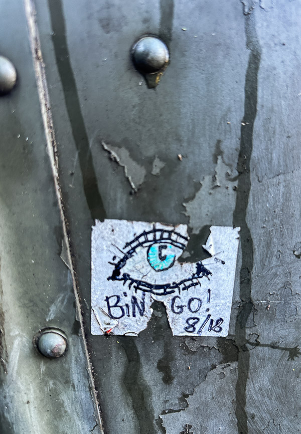 My Everyday Life Week 47 of 2025- Tracy Benjamin of Shutterbean.com