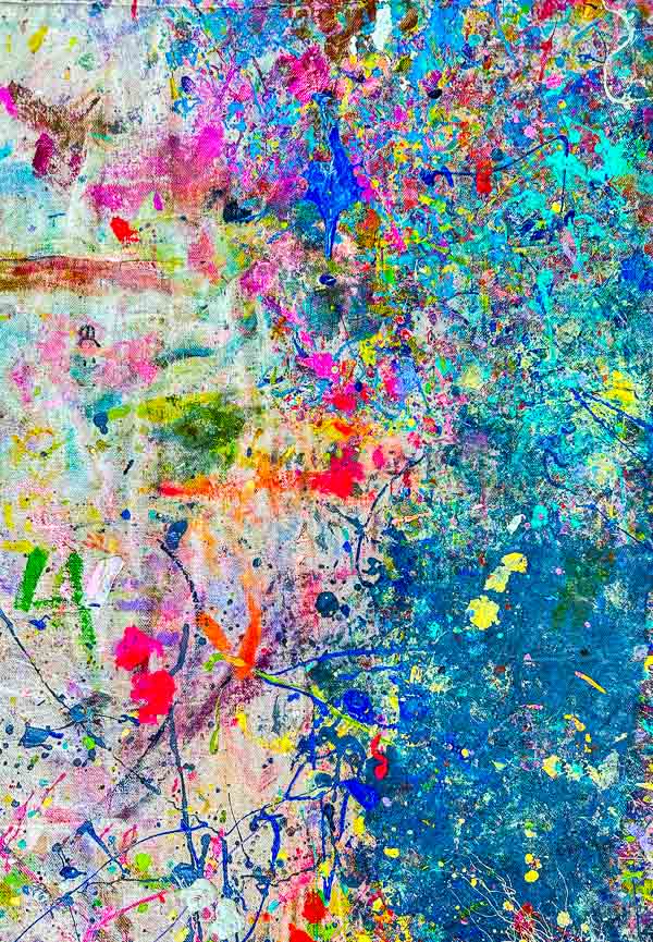 My Everyday Life Week 47 of 2025- Tracy Benjamin of Shutterbean.com