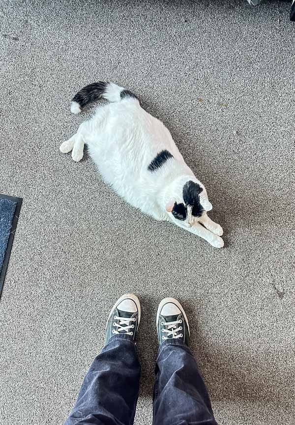 My Everyday Life Week 47 of 2025- Tracy Benjamin of Shutterbean.com