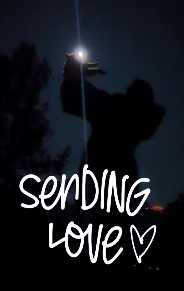 My Everyday Life Week 49