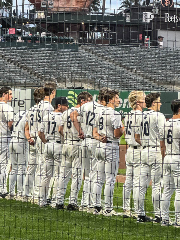 My Everyday Life Week 16