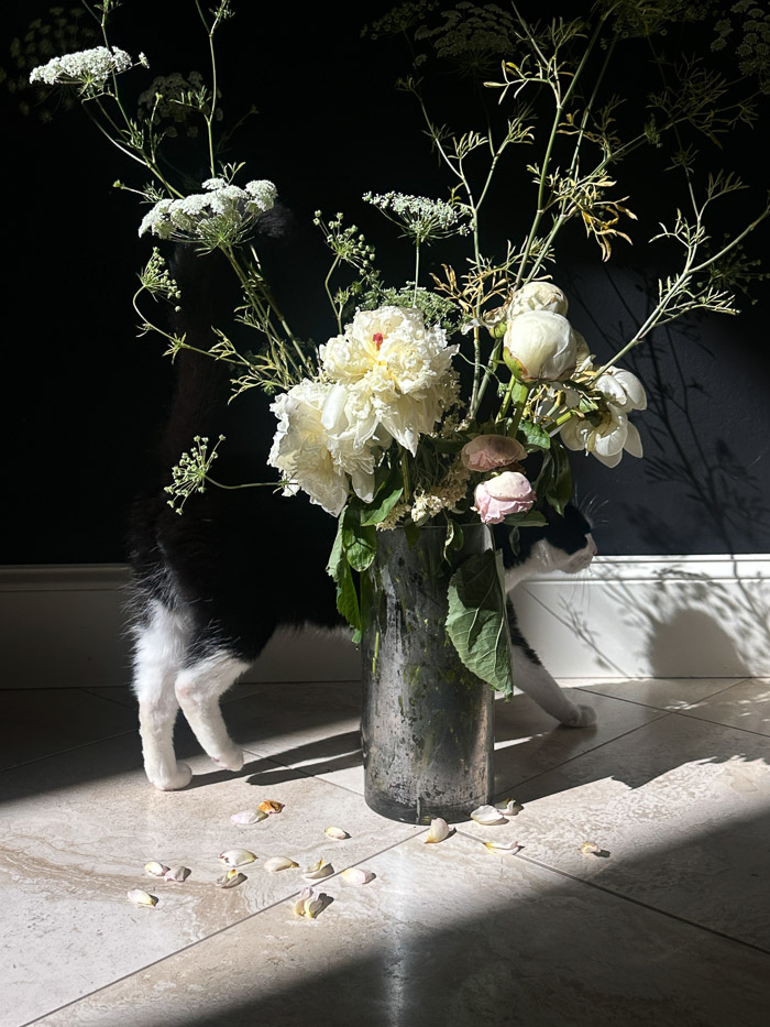 My Everyday Life Week 26